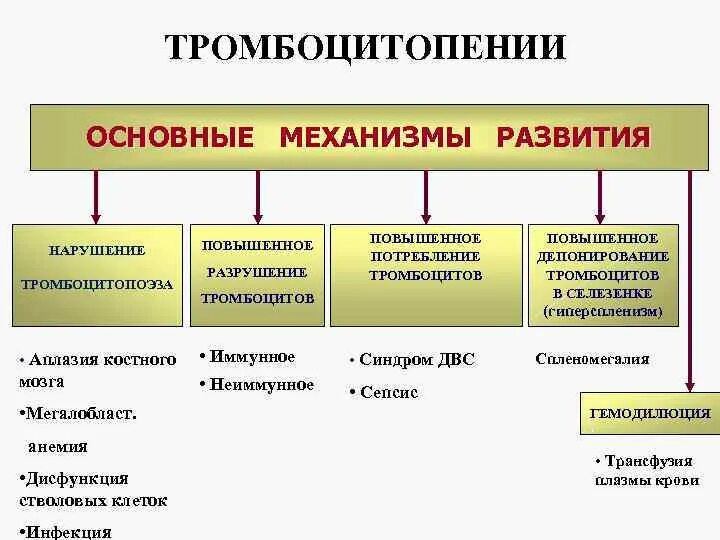 Тромбоцитопения механизм развития. Патогенез тромбоцитопении патофизиология. Тромбоцитопения распределения патогенез. Тромбоцитопения виды причины механизмы развития. Развитие тромбоцитопении