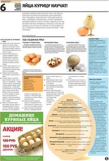 Срок хранения сырых перепелиных яиц