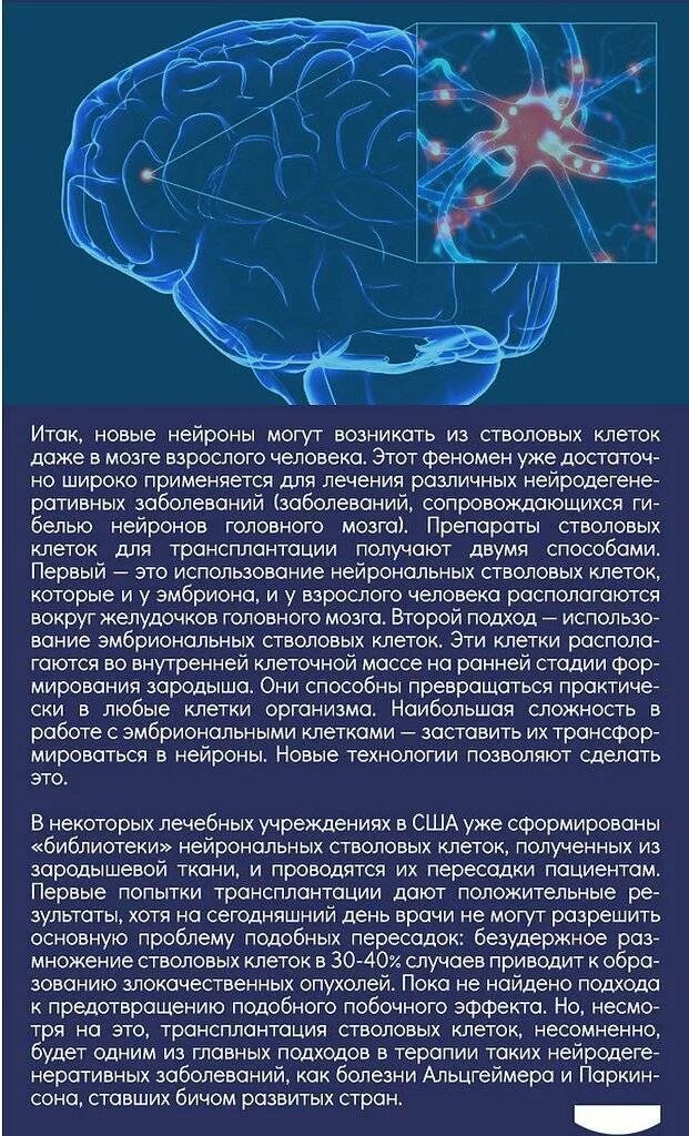 Востагавливаютсч ди нервнве контуи. Клетки головного мозга. Восстанавливаются ли нервные клетки. Регенерируются ли нервные клетки. Новые клетки мозга