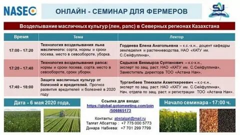 Последовательность развития льна