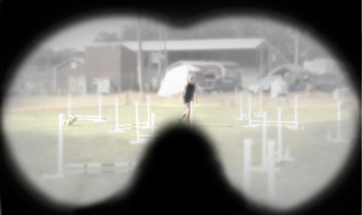 Каким кошки видят наш мир. Глаза способные видеть в темноте. Как человек видит в темноте. Как видят мир собаки. В темноте увидел петя человека у стены.