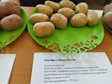 Картофель сказка