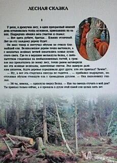 Мамин сибиряк сочинение егэ