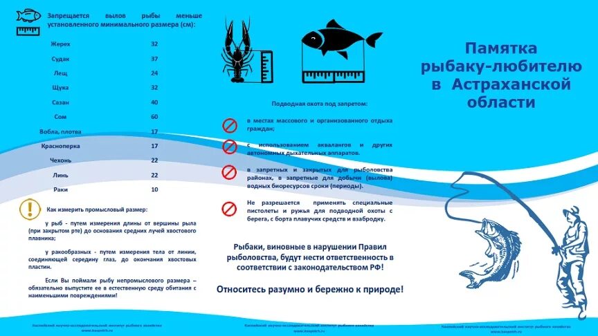 Разрешенный лов рыбы. Памятка для рыбаков любителей в Астраханской области. Памятка для рыболовов любителей. Памятка рыбаку-любителю в Астраханской. Памятки для рыбаков.