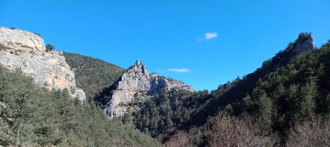 Чернореченский каньон в крыму. Чернореченский каньон в крыму. Черенореченский канон. Растительность чернореченского каньона. Чернореченский каньон.