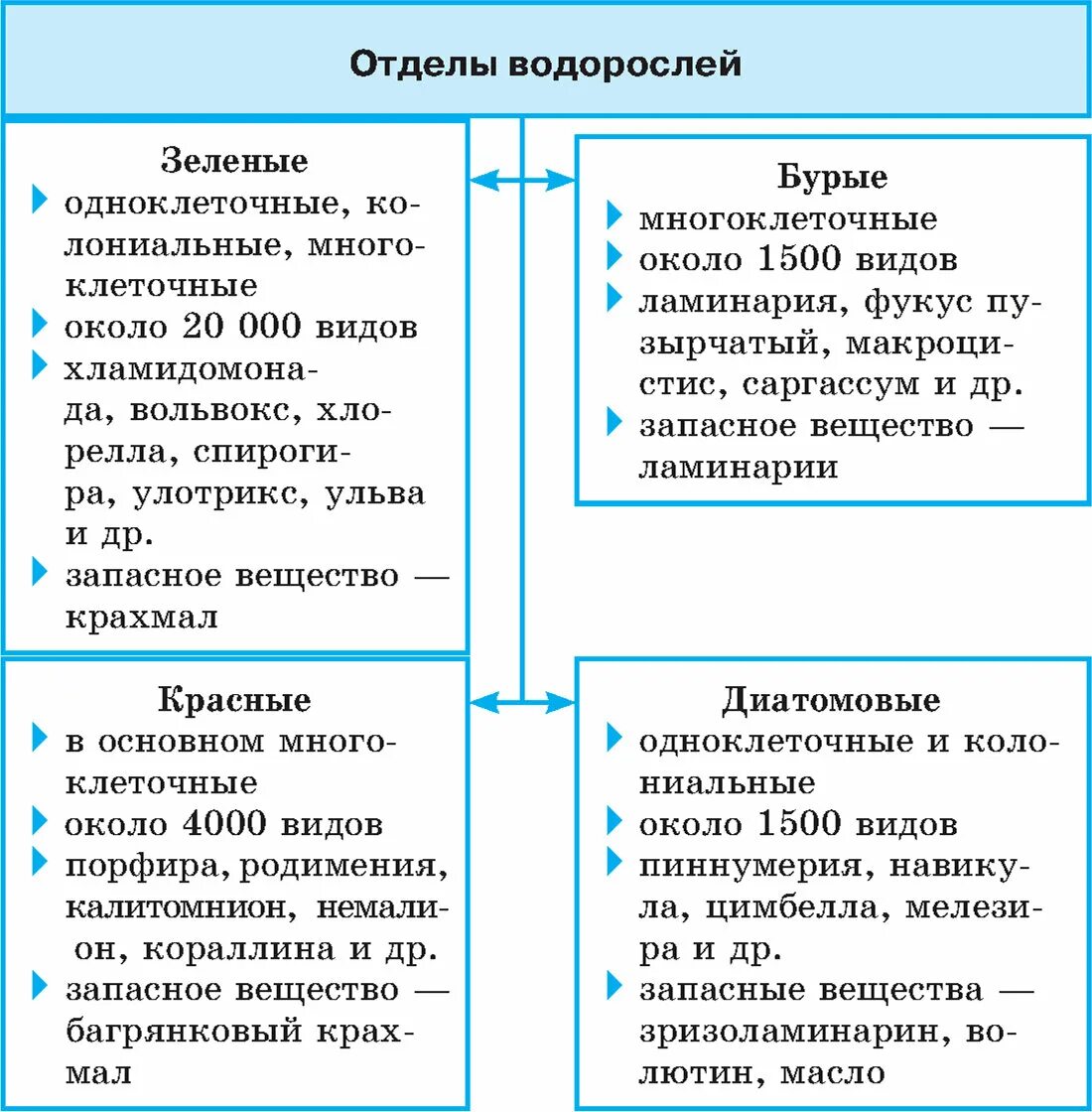 Характеристика классов водорослей