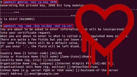Openssl examples