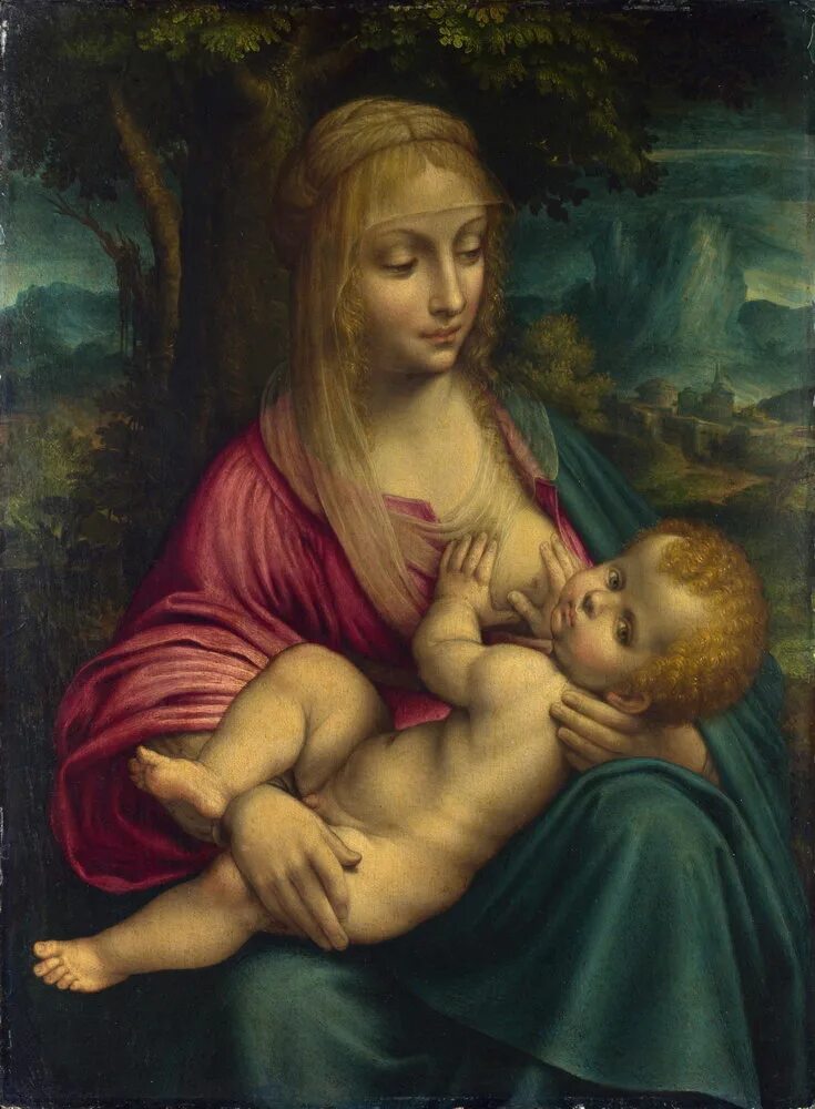 Леонардо да Винчи Мадонна. Да Винчи Мадонна с младенцем. Мадонна на картине Леонарда да Винчи. Мадонна с ребенком Леонардо да Винчи. Автор картины мадонна с младенцем