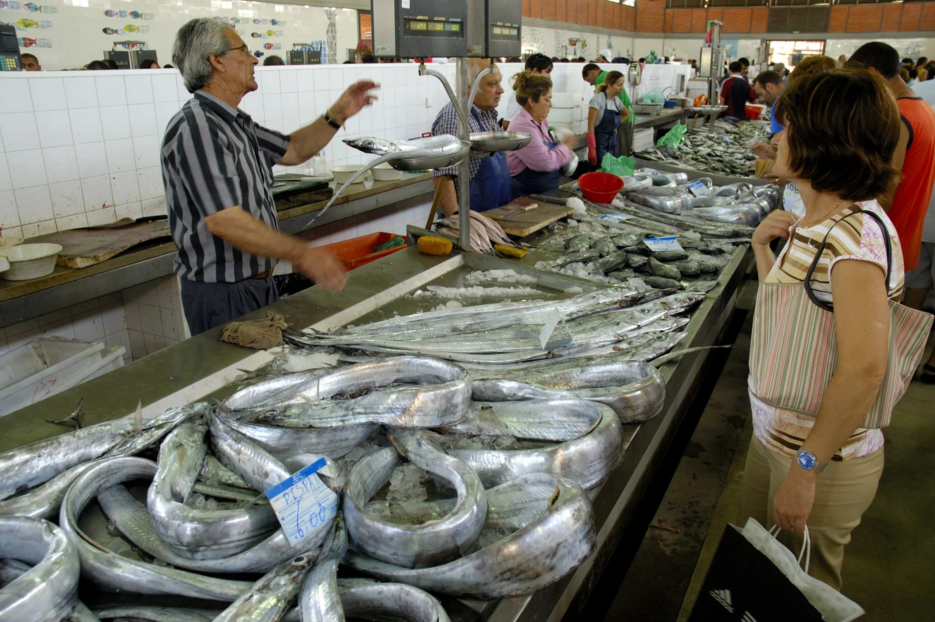 Купили на рынке рыбу. Мадейра рыбный рынок. Рыба на рынке. Оптовый рыбный рынок. Рыбный рынок в Москве.