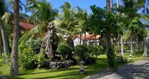 Century beach resort