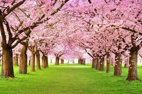Что такое spring