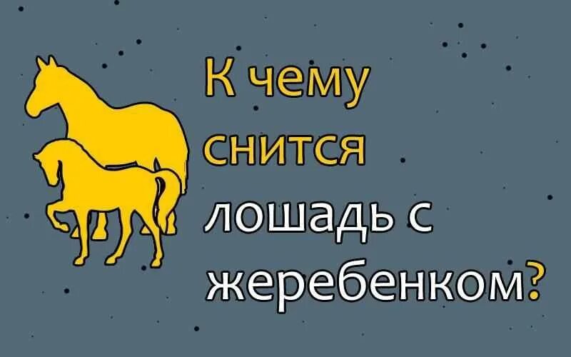 Лоснящаяся лошадь. Приснилась лошадь. Сонник к чему снится лошадь. Сонник толкование снов снится лошадь женщине. Что снится лошадям.