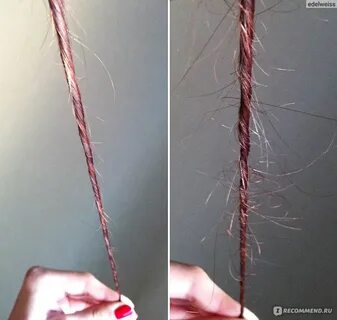 Сечь сеченый