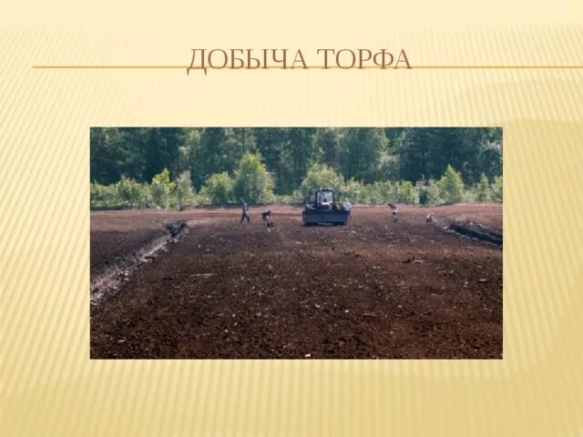 Место добычи торфа 4 класс окружающий мир. Полезные ископаемые чувашии торф. места добычи торфа. способы добычи торфа. места добычи торфа в чувашии.