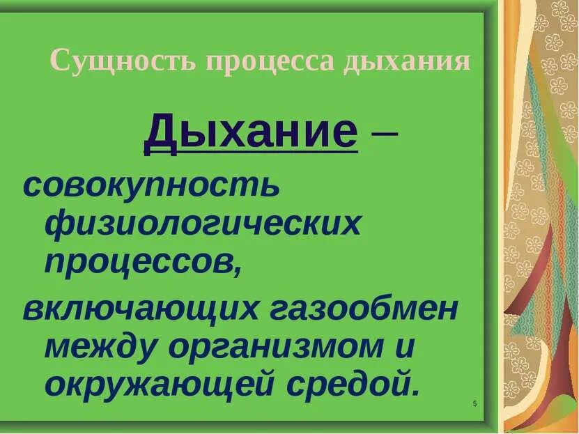 Какой процесс называют дыханием в чем состоит. Сущность процесса дыхания. анатомическая и физиологическая сущность процесса дыхания. сущность процесса дыхания заключается в. в чем состоит сущность процесса дыхания?.