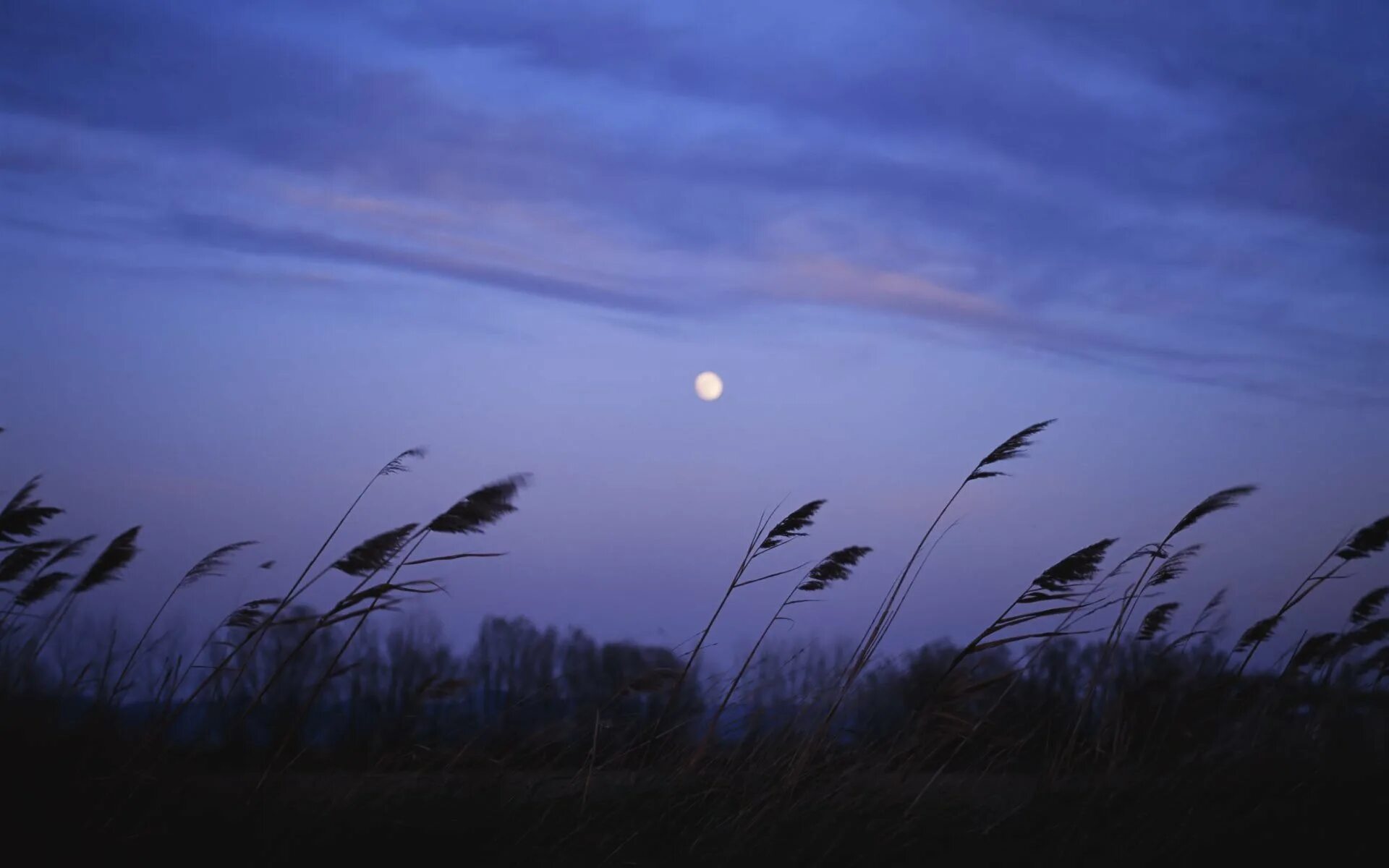Небом синим я плыву песня. Стих небо голубое. Красивые глаза в небе. Небом синим я плыву песня. Никитин стих в синем небе.