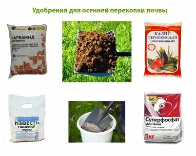 Какие удобрения нужны растению