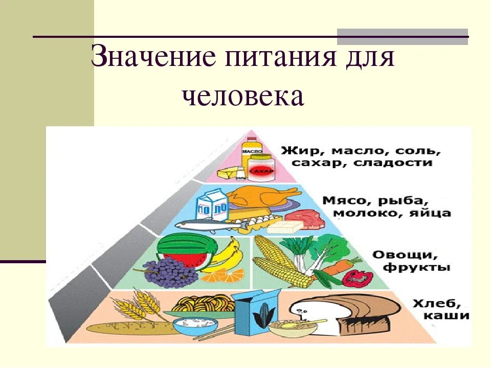 Значение питания для человека. Важность пищи для человека. Правильное питание презентация. Пища в жизни человека.