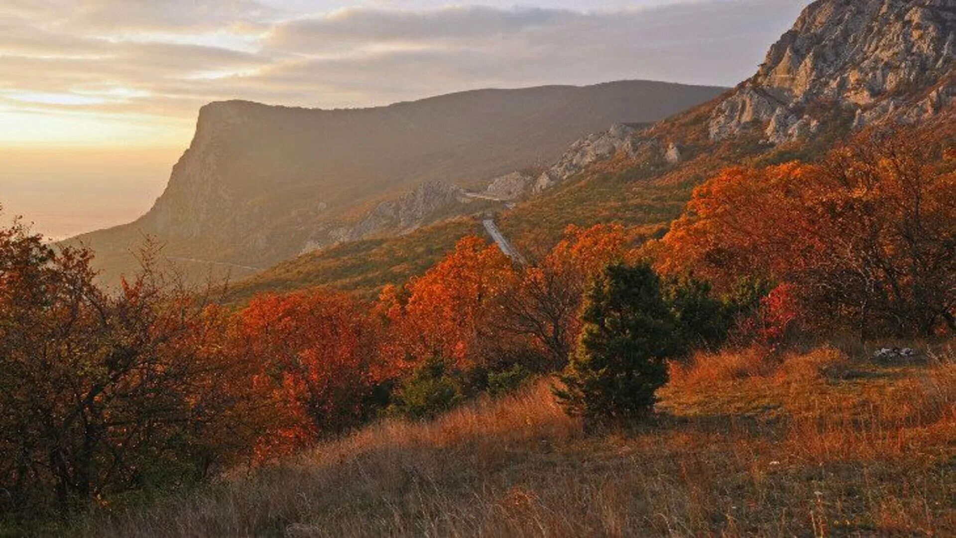 Перевальное осенью Крым. Крым горы осень. Осенний Крым Ореанда. Крымский лес Краснодарский край. Крымские степи и крымские горы