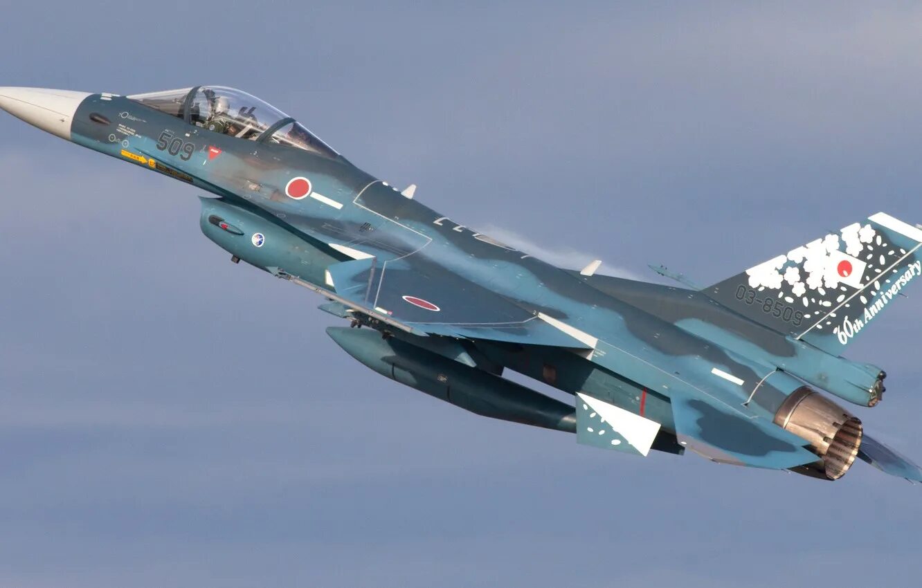 Истребители японии. Mitsubishi f-2. F16 Mitsubishi. Mitsubishi f-2 и f-16. Mitsubishi f-2 ВВС Японии.