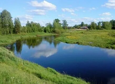 Кировская область свечинский