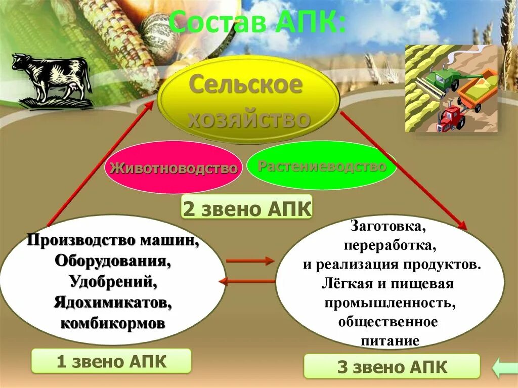 АПК презентация. Сельское хозяйство Растениеводство и животноводство. Отрасли растениеводства и животноводства. Отрасли растениеводчтва и ж