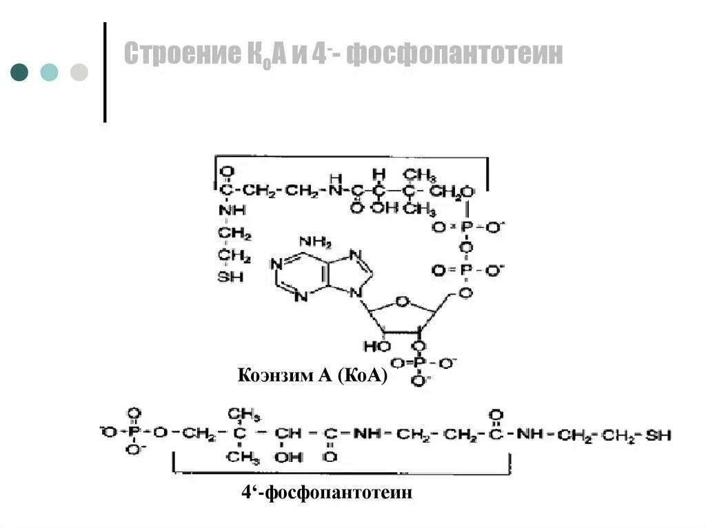 Строение коэнзима а биохимия. КОА формула биохимия. Коэнзим. Коэнзим а структура.