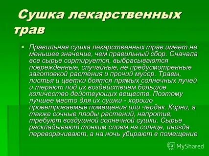 Вьющаяся зелень как пишется