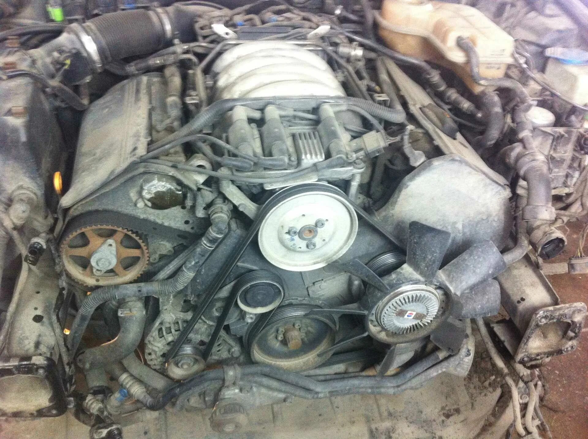 мотор ауди а6 с5 2. телевизор ауди а8 д2. ауди а6 с5 2. Audi a4 b5 1. 5 дизель.