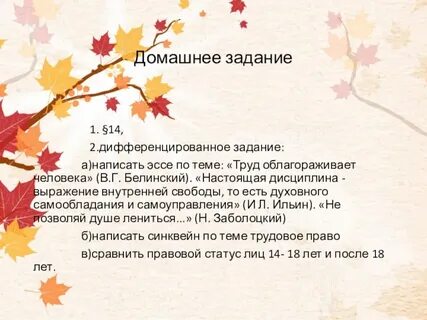 Настоящая дисциплина