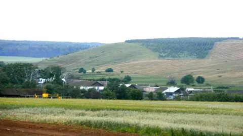 Село сотово