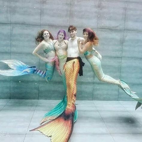 Руки русалки референс. Русалки группа. Ондина русалки острова мако. Группа русалки. Группа фабрика рыбка клип.