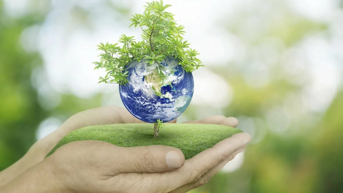 Бережное природопользование. Защита природы. Всемирный день окружающей среды. Всемирный день охраны окружающей среды. Планета в руках экология.