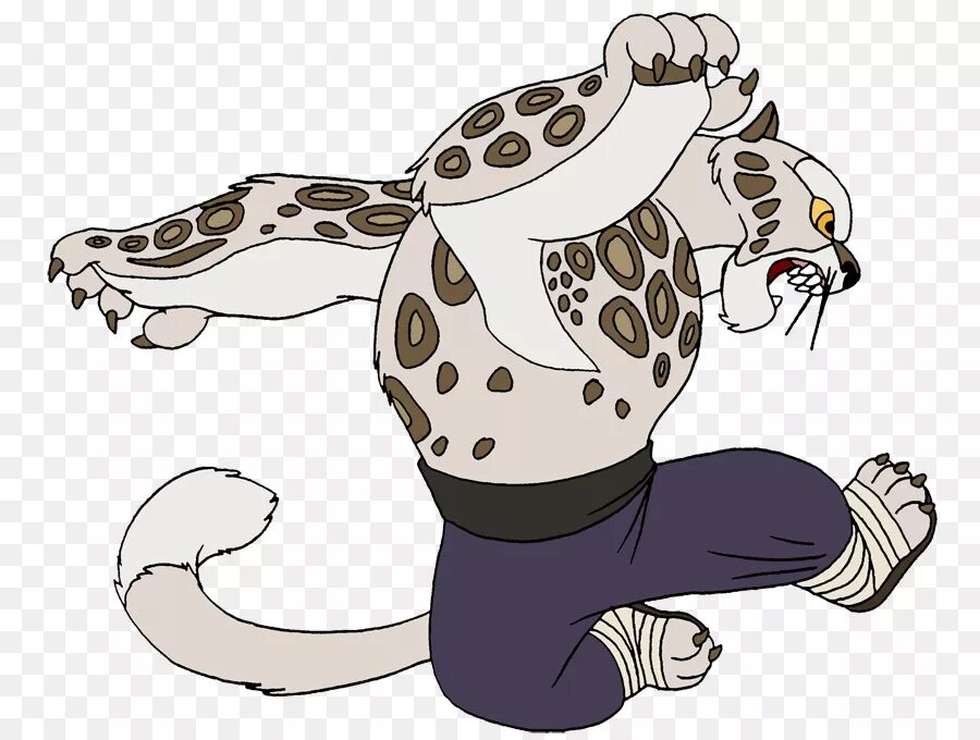 Tai lung kung fu