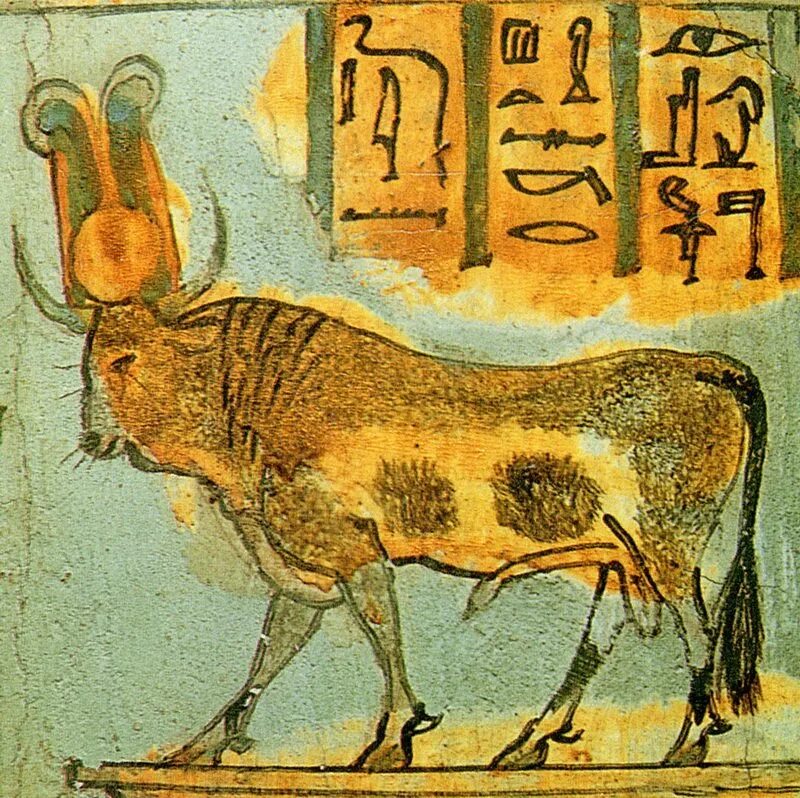 Животные богов египта. АПИС Бог Египта. Древний Египет Священные животные АПИС. Бык АПИС В древнем Египте. Священный бык в древнем Египте.