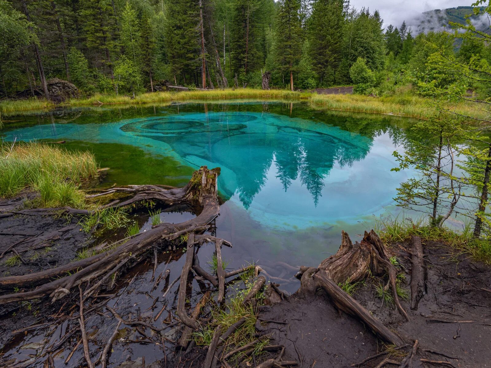 горный алтай гейзерово озеро. гейзеровое озеро горный алтай. гейзеровое озеро горный алтай. гейзерное озеро в горном алтае. озеро акташ горный алтай.