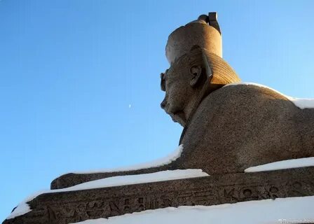 Сфинкс маяковская