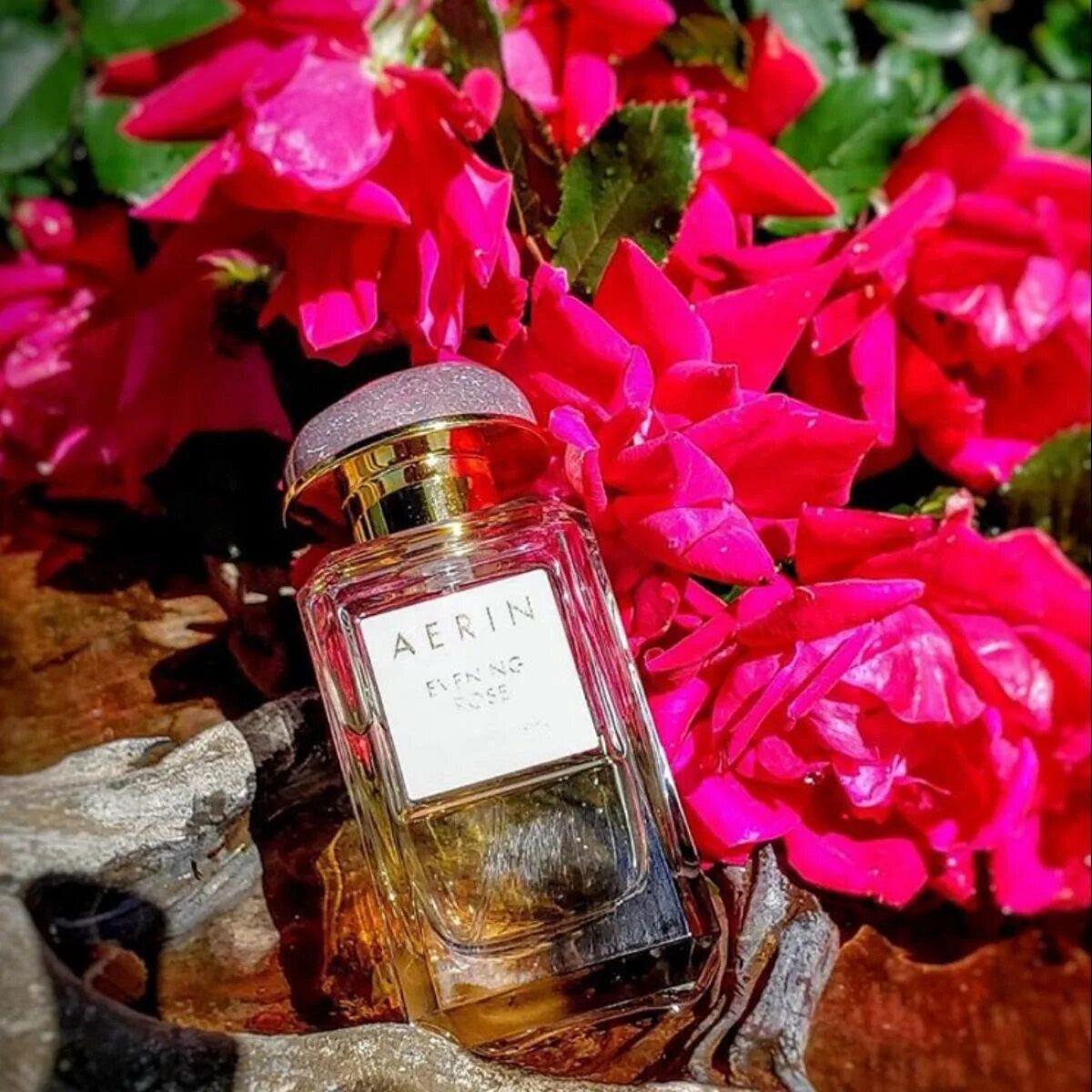 Духи эсти эсте лаудер aerin. Evening rose. Художник александр волков окна. Данги роуз ивен лав парфюм новая заря 30 миллиграмм цена. Evening rose.