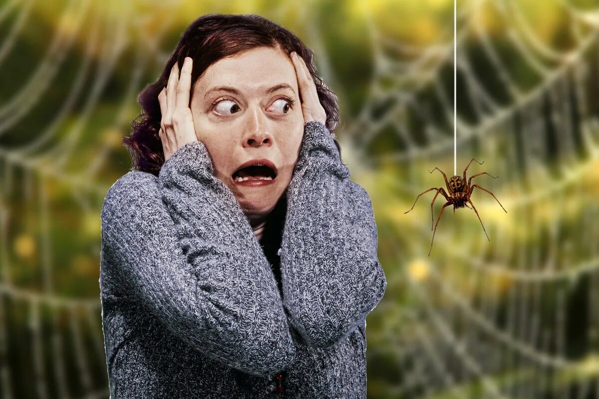 Humans are afraid of