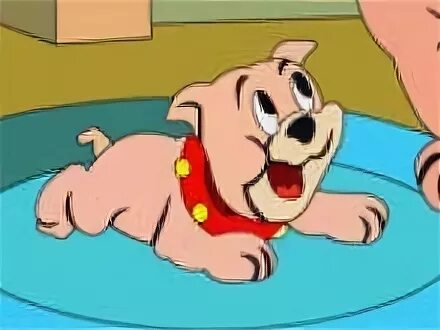 тайк том и джерри. тайк том и джерри. бульдог спайк из том и джерри. щенок из том и джерри. тайк том и джерри.