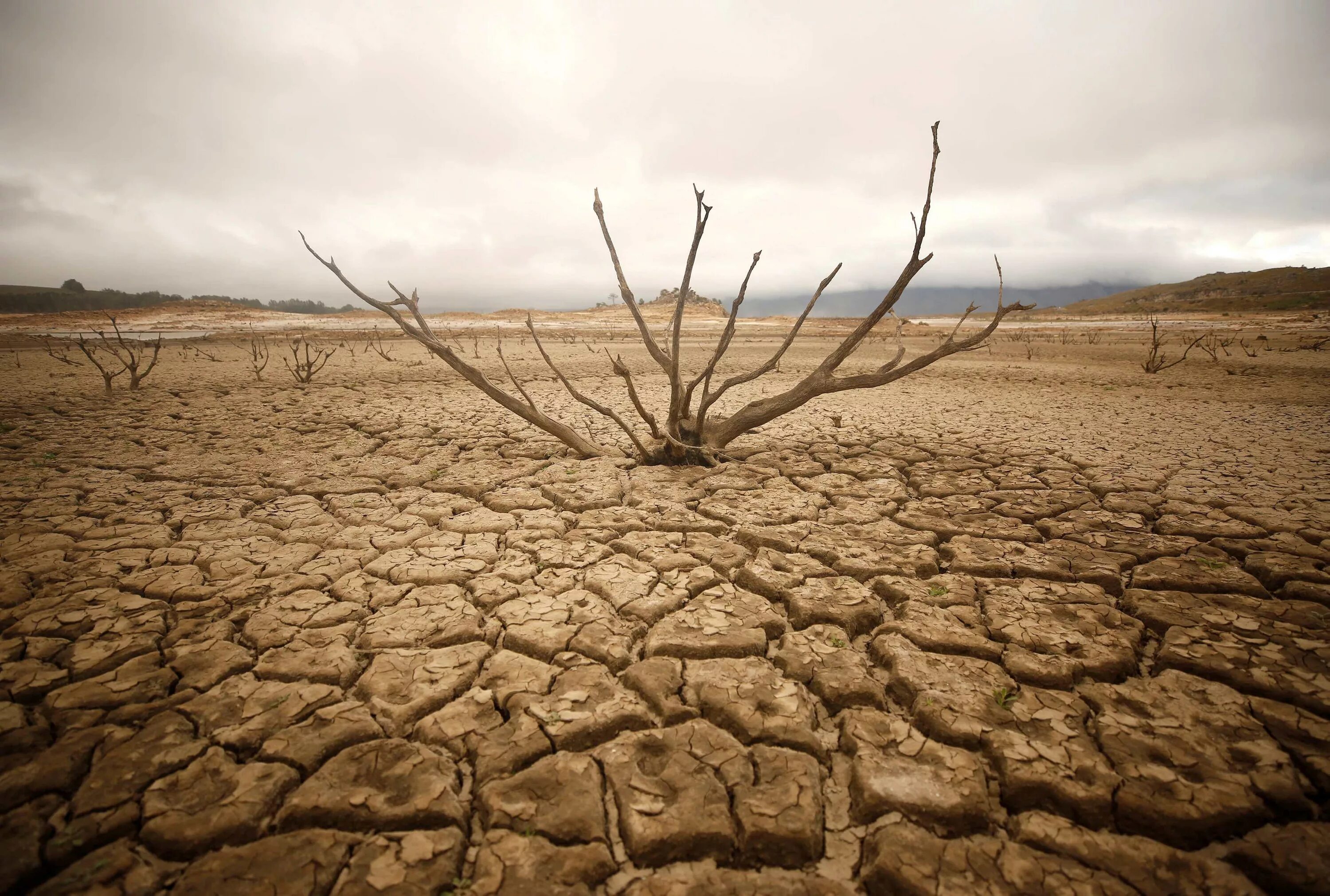 Засуха в мире. Засуха. Опустынивание. Антропогенное опустынивание. Пустыня засуха.