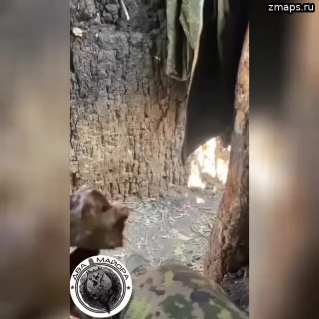 70 мсп