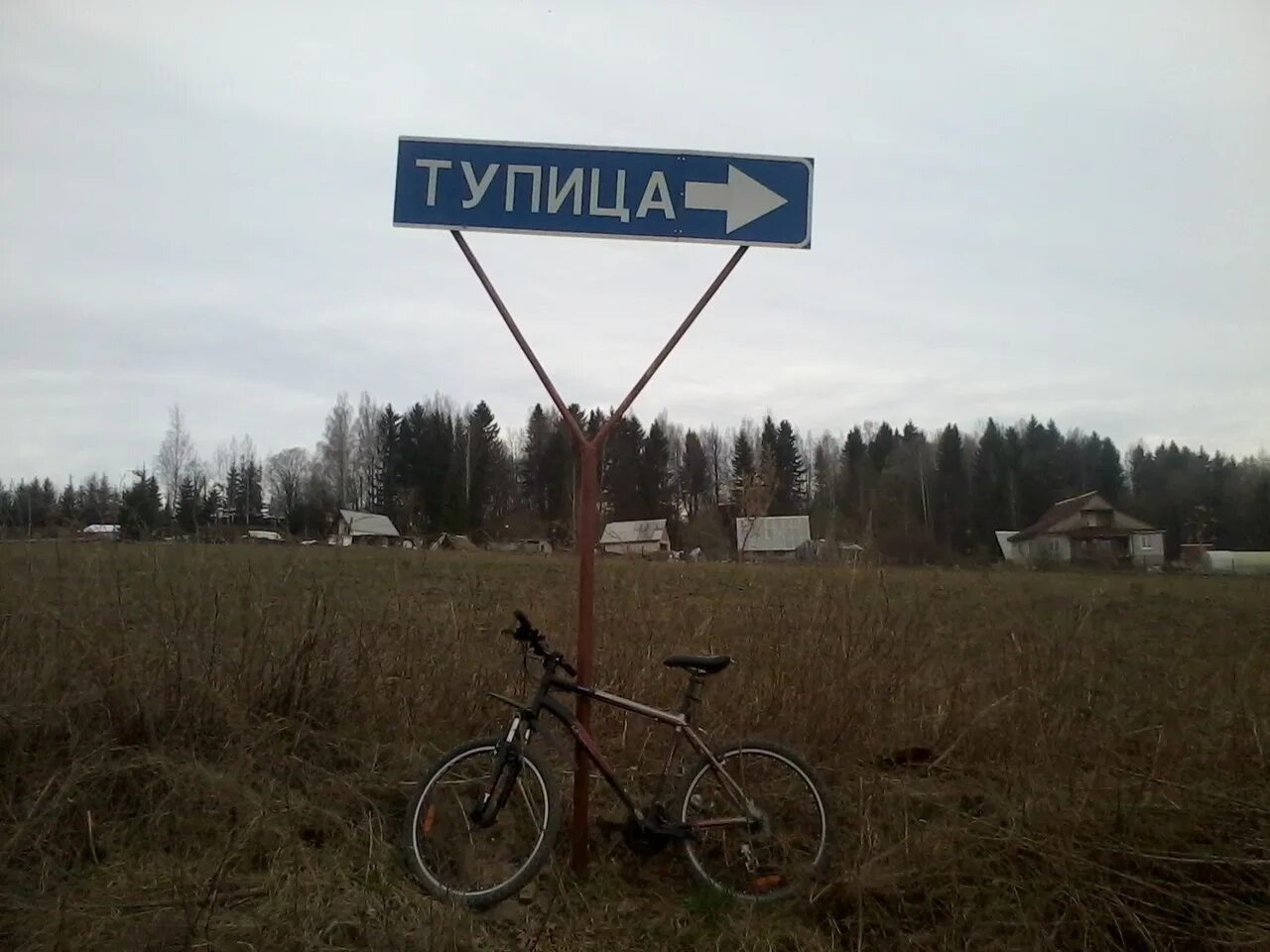 Тупица. Надпись серийный тупица. Тупица. Деревня тупица пермский край. Тупица.