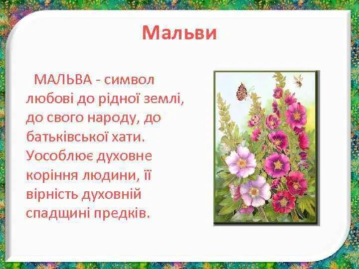 Мальва толковый словарь. Мальва полевая. Корень мальвы. Мальва мускусная. Мальва толковый словарь.