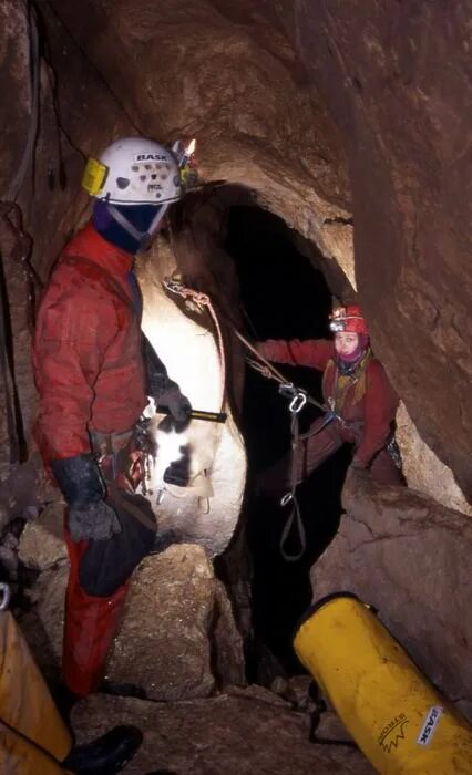 команда пещера. футбольная команда в пещере в тайланде. команда пещера. команда пещера. пещера в тайланде.