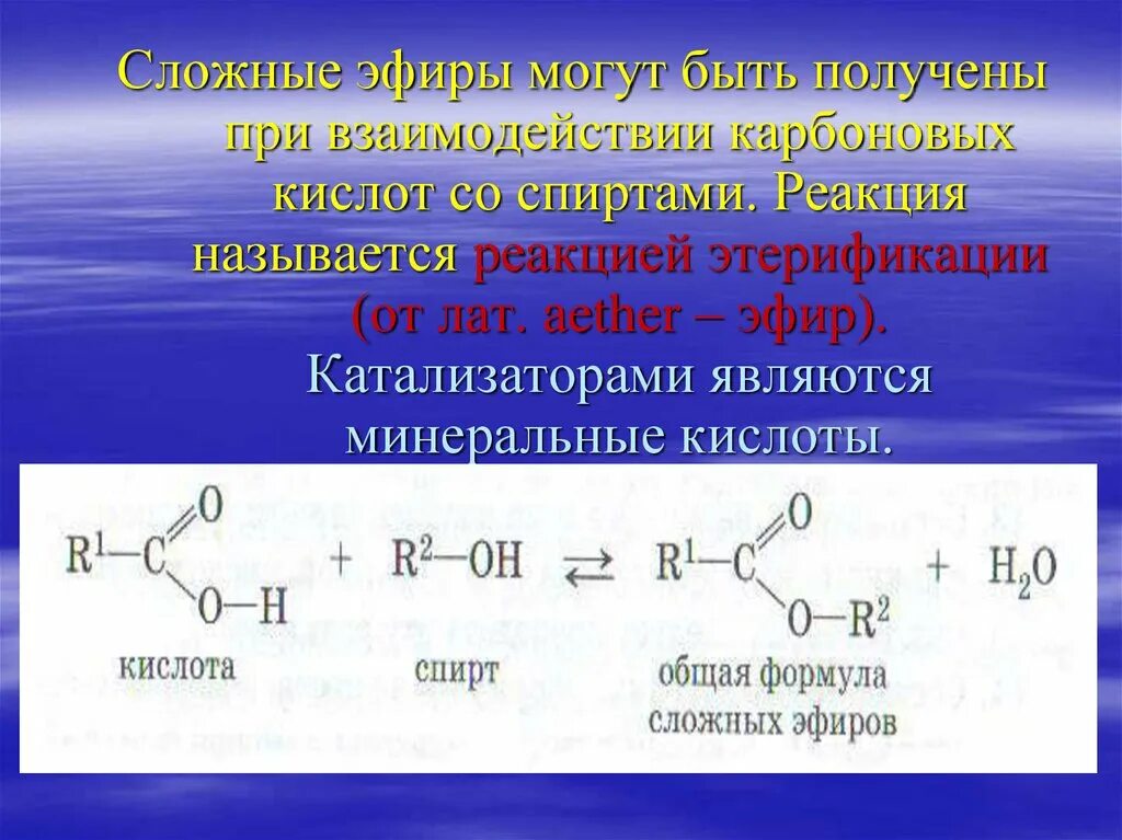 Сложный эфир подвергается реакции. Формула реакции этерификации сложных эфиров. Октилацетат реакция этерификации. Изопентилацетат этерификация. Этерификация карбоновых кислот катализатор.