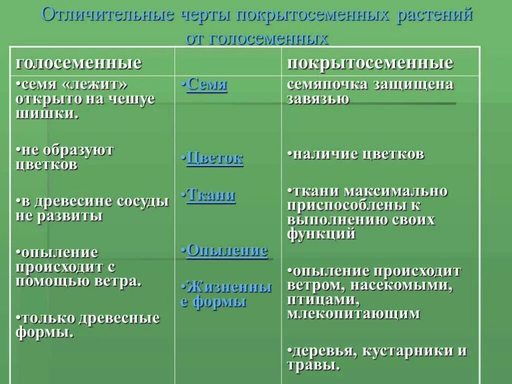 Семена защищены околоплодником у голосеменных или покрытосеменных. Голосеменные и Покрытосеменные растения таблица. Ткани голосеменных и покрытосеменных растений. Признаки голосеменных и цветковых растений 5 класс. Голосеменные Покрытосеменные таблица.