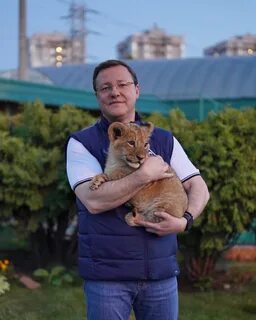 Лев самара