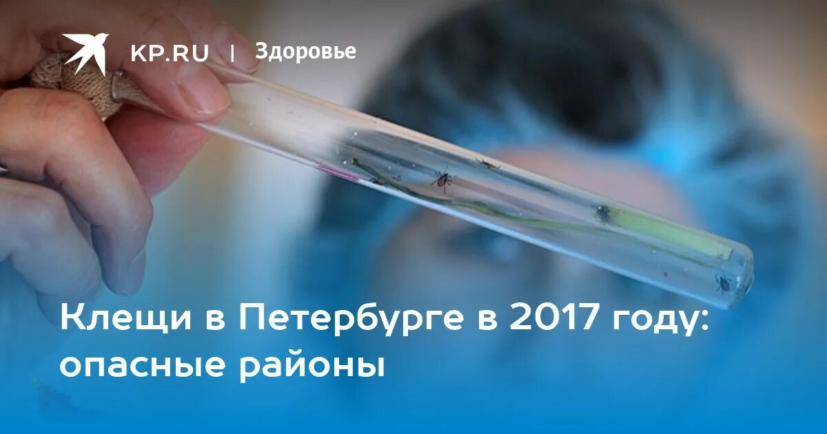 Сделать прививку от энцефалита в спб. Вакцинация против клещевого энцефалита. Клещей начало вакцинация.