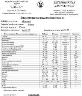 Что такое асло в биохимическом анализе